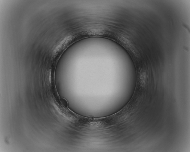 X0000103480686200809191900