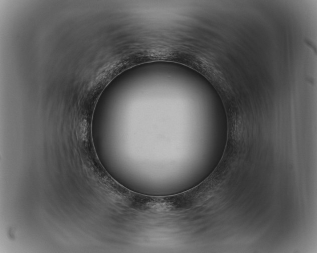X0000103480689200809191900