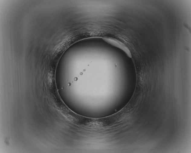 X0000103480691200809191900