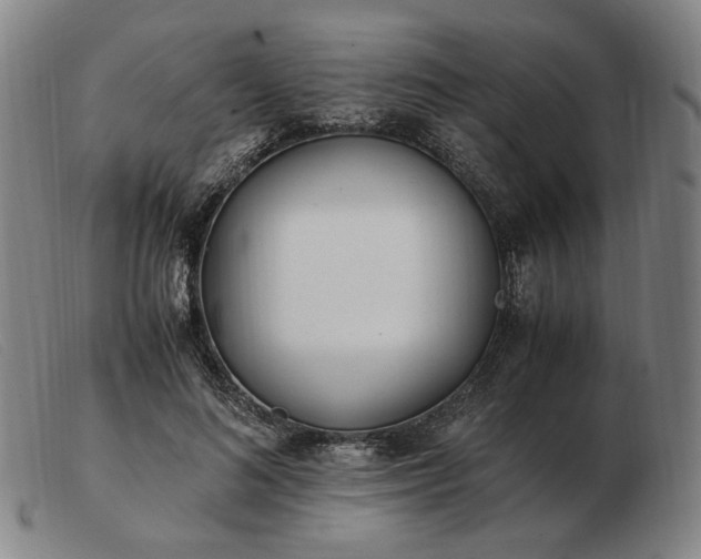 X0000103480692200809191900