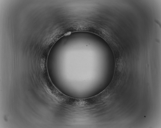 X0000103480695200809191900