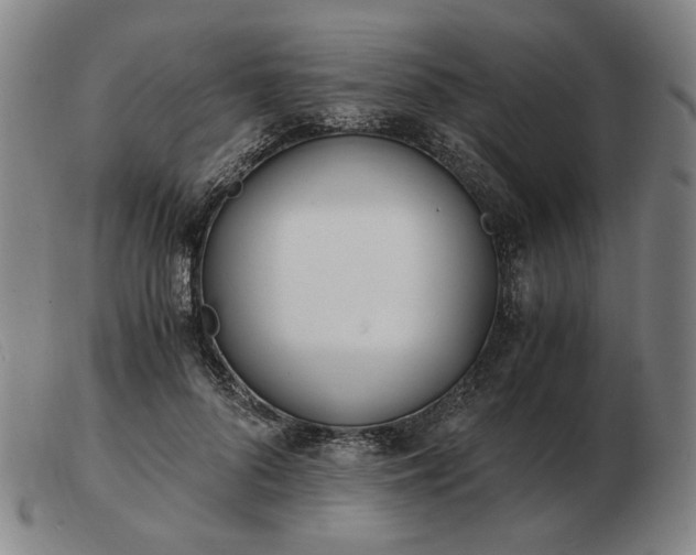 X0000103480696200809191900