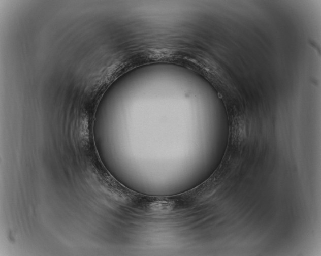 X0000103480700200809191859