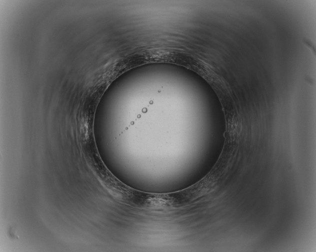 X0000103480703200809191859