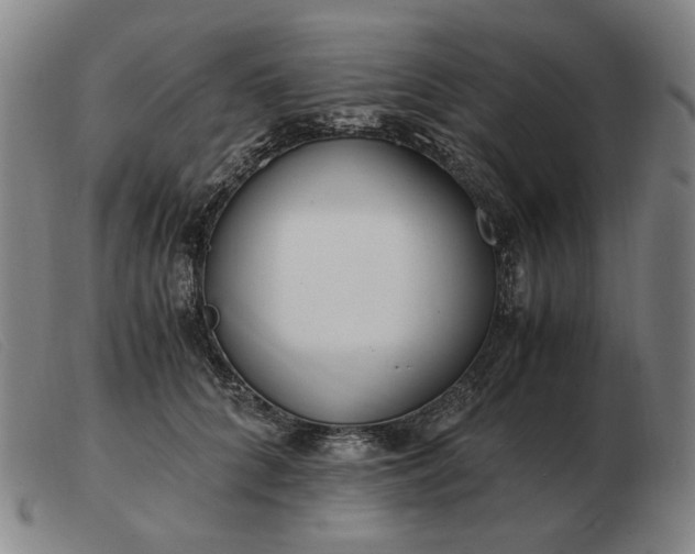X0000103480704200809191859