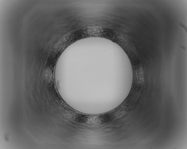X0000103480705200809191859