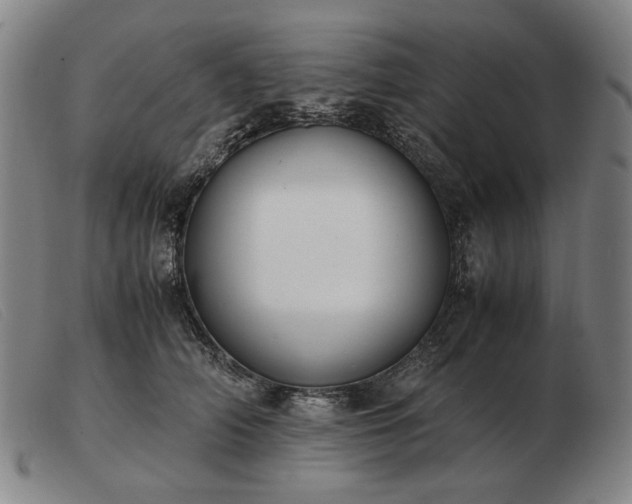 X0000103480706200809191859