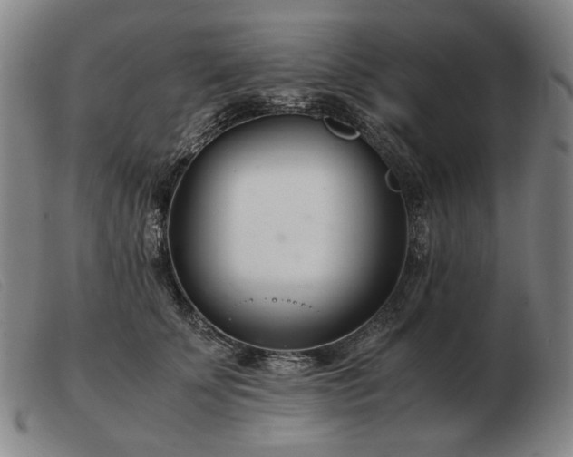 X0000103480707200809191859
