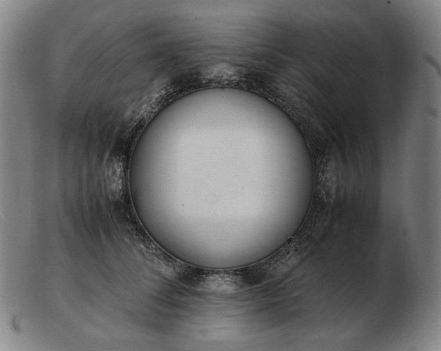 X0000103480708200809191859