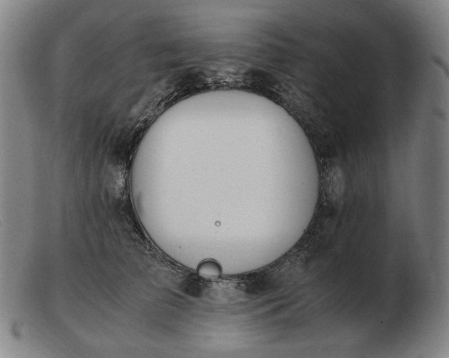 X0000103480709200809191859