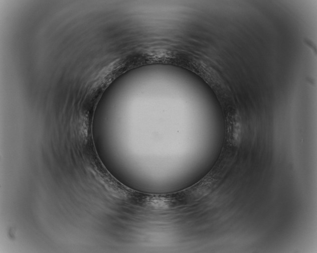 X0000103480710200809191859
