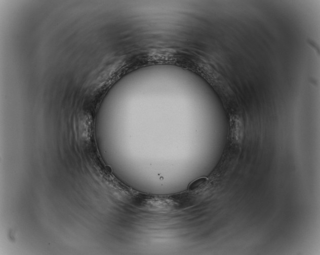 X0000103480712200809191859