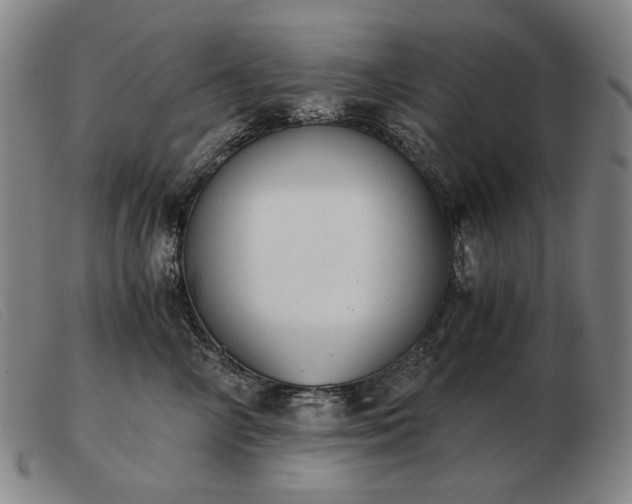 X0000103480714200809191859