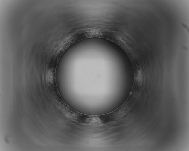 X0000103480715200809191859