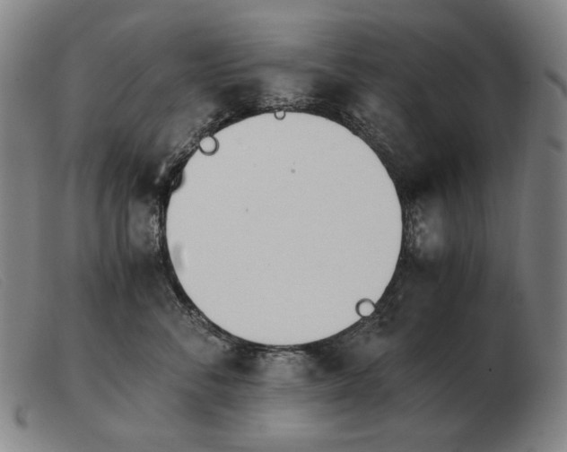 X0000103480716200809191859