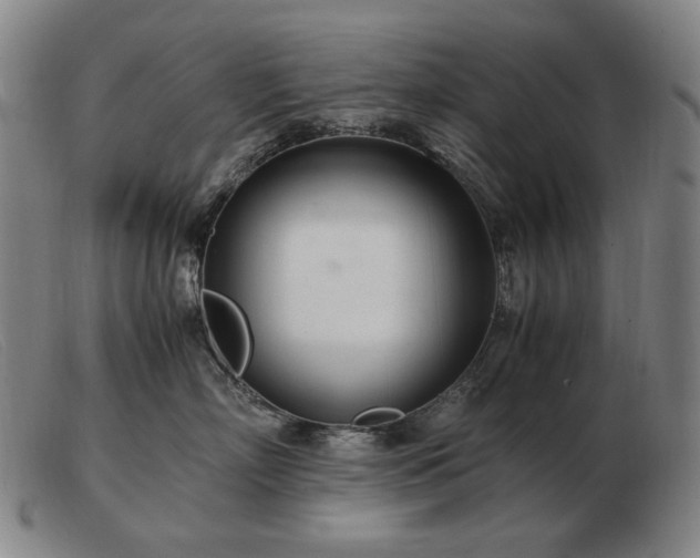 X0000103480718200809191859
