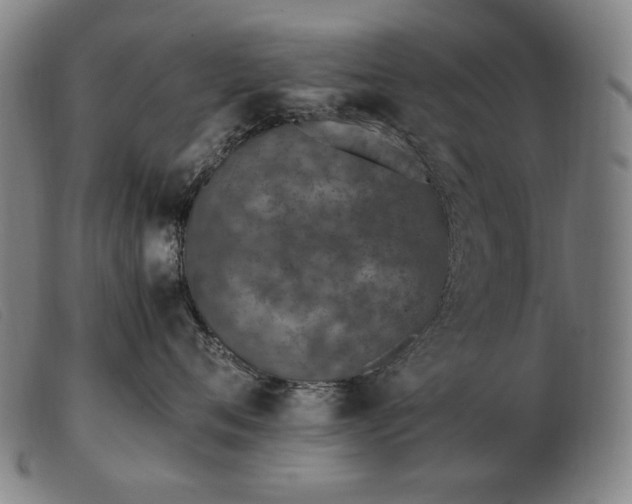 X0000103480720200809191859