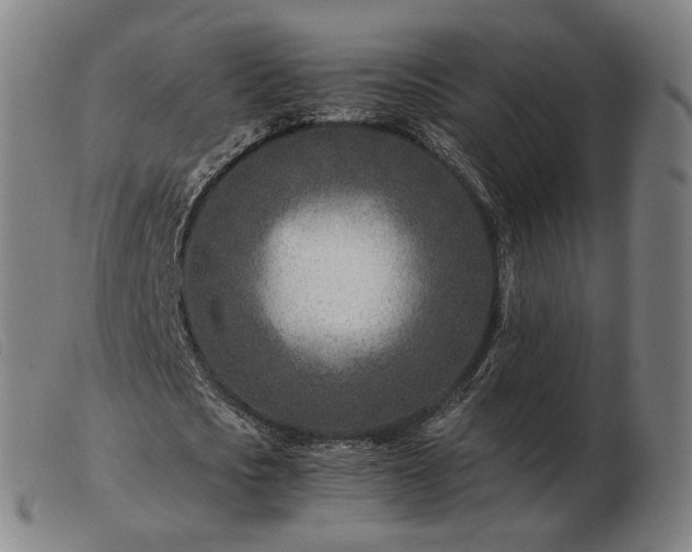 X0000103480721200809191859