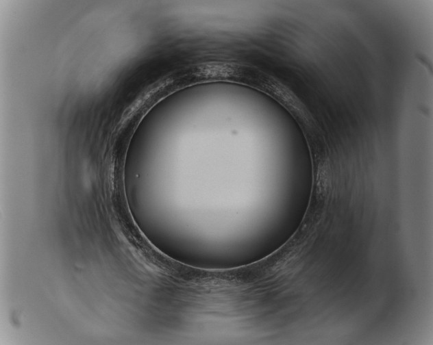 X0000103480722200809191859