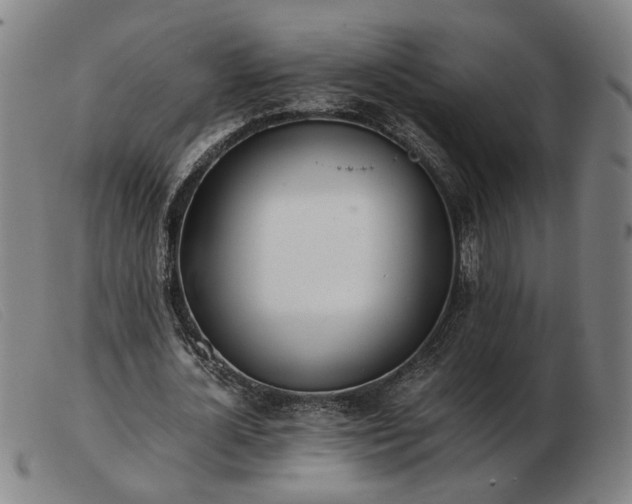 X0000103480724200809191859
