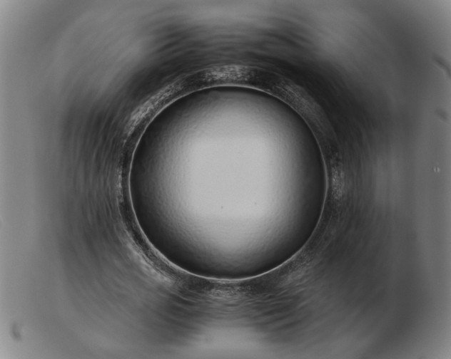 X0000103480725200809191859