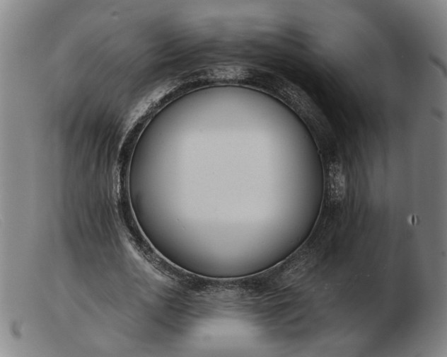 X0000103480726200809191859