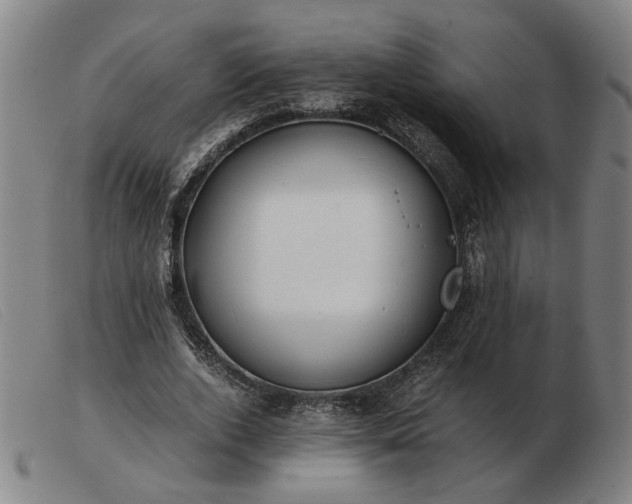 X0000103480728200809191859