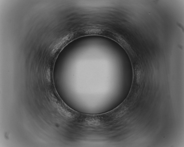 X0000103480729200809191859