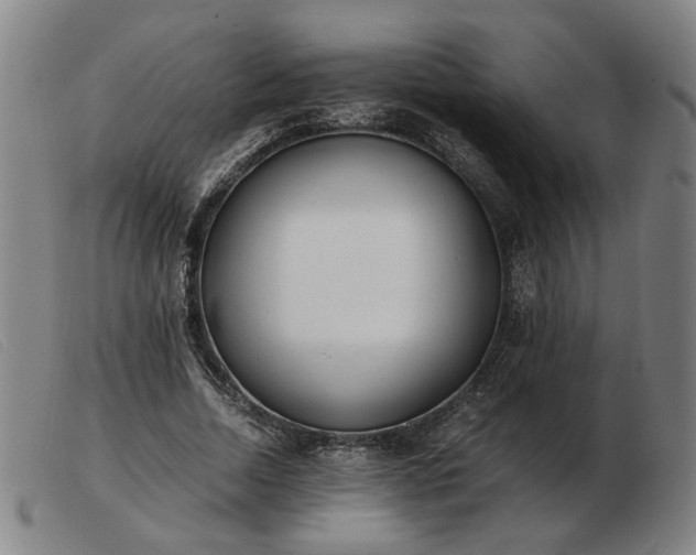 X0000103480730200809191859