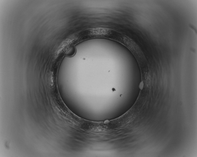 X0000103480731200809191859