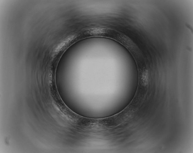X0000103480732200809191859