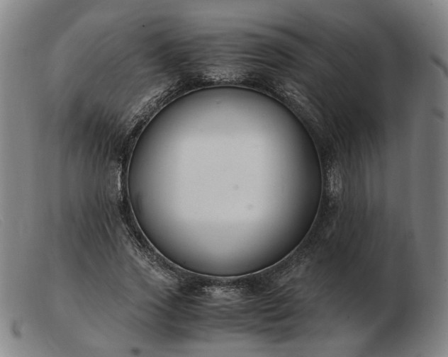 X0000103480733200809191859