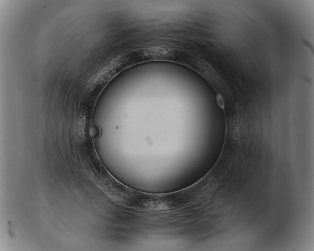 X0000103480735200809191859
