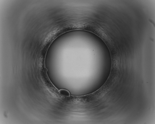 X0000103480736200809191859