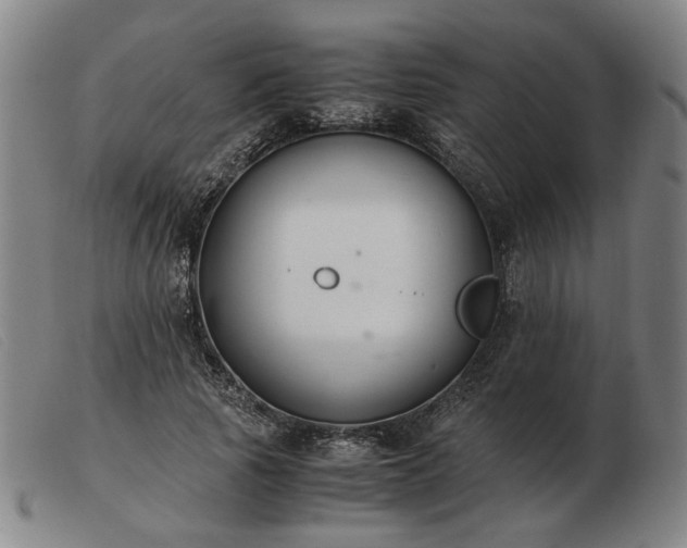 X0000103480737200809191859