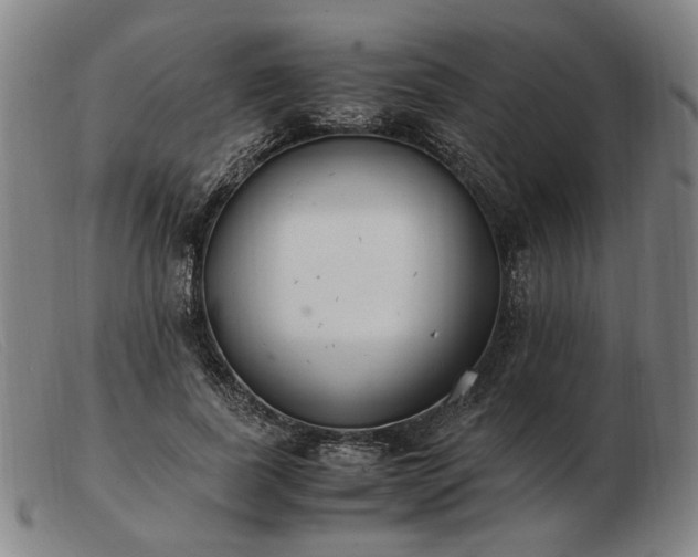 X0000103480739200809191859