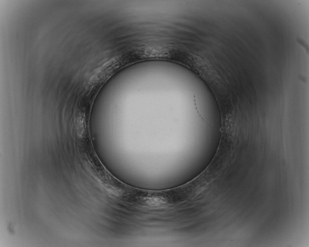 X0000103480741200809191859