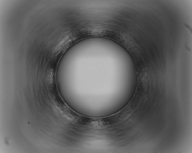 X0000103480744200809191859