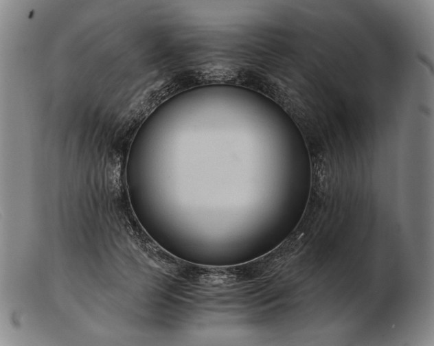 X0000103480745200809191859