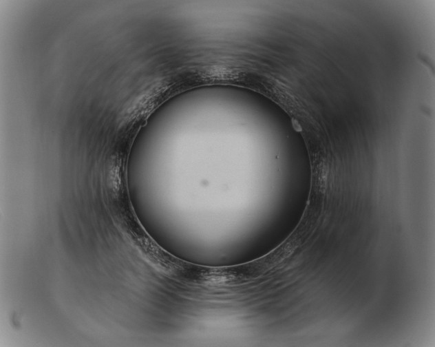 X0000103480746200809191859