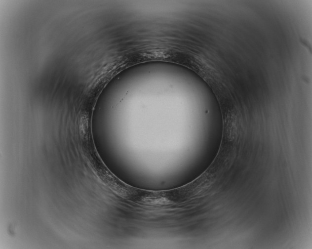 X0000103480747200809191859