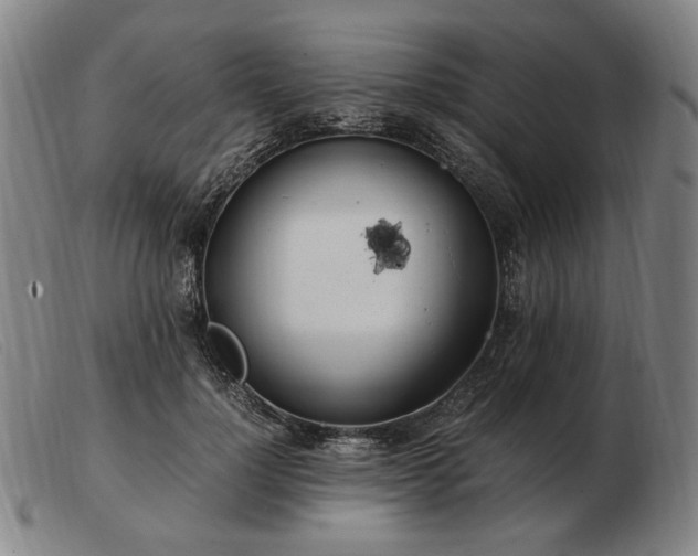 X0000103480748200809191859