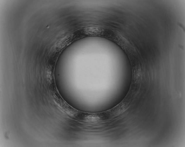 X0000103480749200809191859