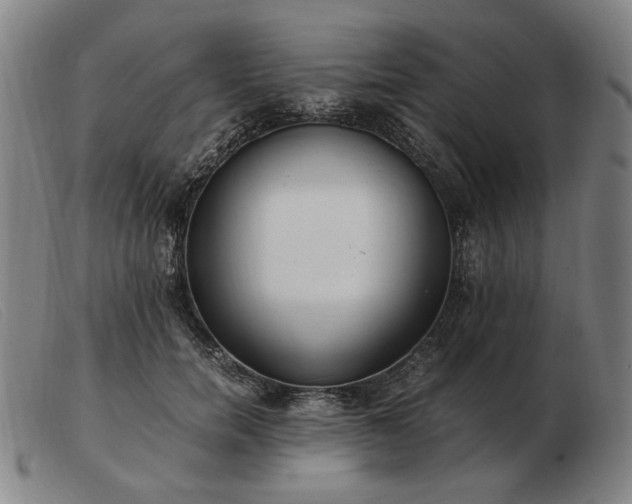 X0000103480750200809191859