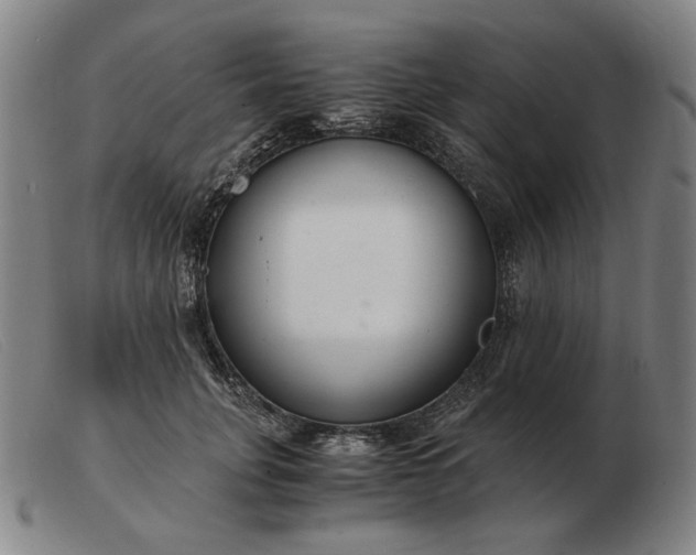 X0000103480751200809191859
