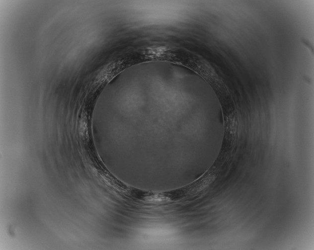 X0000103480754200809191859