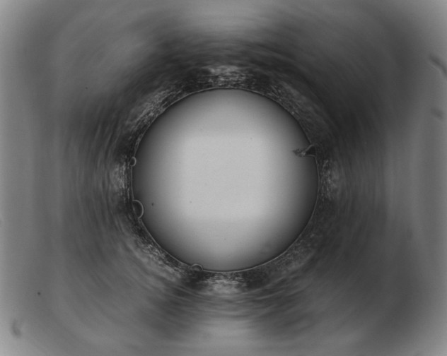 X0000103480756200809191859