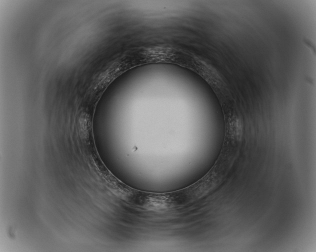 X0000103480757200809191859