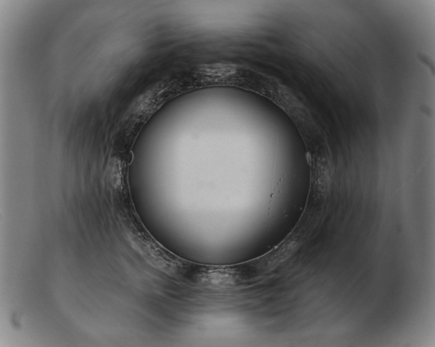 X0000103480758200809191859
