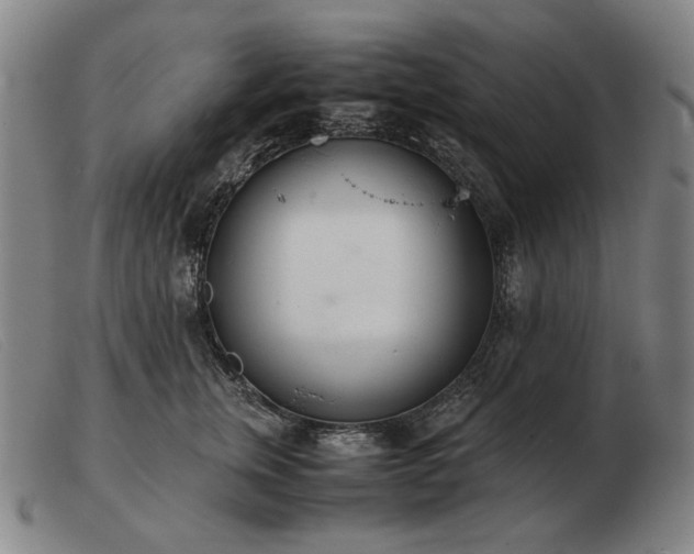 X0000103480759200809191859